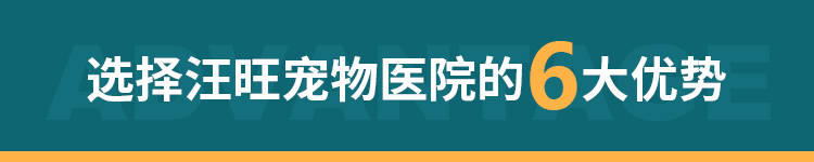 6大優(yōu)勢